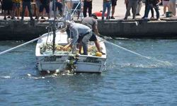 Sinop’ta deniz soğuk yaptı, vatandaşlar balık yakalamak için sahile akın etti
