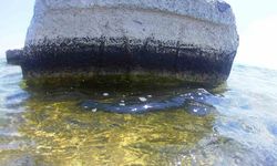 Van Gölü’nde Kayı tamgalı ve haç işaretli taşlar bulundu