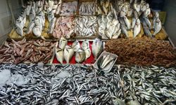 Çanakkale’de av yasağının sona ermesiyle balık tezgahları şenlendi