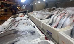 Depremden dolayı uzun süre sessiz kalmıştı; balık pazarı canlandı