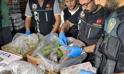 Mersin Limanı'nda 610 kilogram kokain ele geçirildi