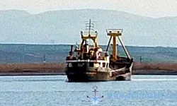 Batuhan A. adlı Kargo gemisi İmralı Adası açıklarında battı