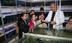 Elazığ’da öğrenciler Balık Müzesini gezdi