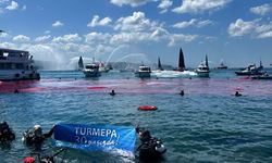 TURMEPA,  1 Temmuz’da Beşiktaş’ta deniz dibi temizliği gerçekleştirdi
