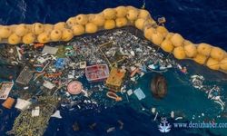 Yüzen Plastik Çöpler Uzaydan Takip Edilebiliyor