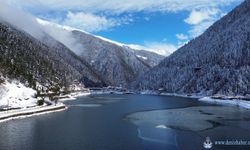 Kar, Uzungöl'de yaşanan doğa katliamının üstünü örttü