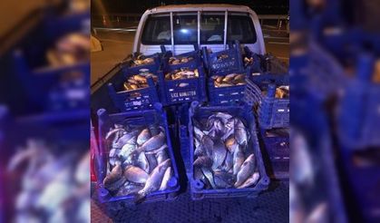 Elazığ’da 600 kilo kaçak balık avına 10 bin TL ceza