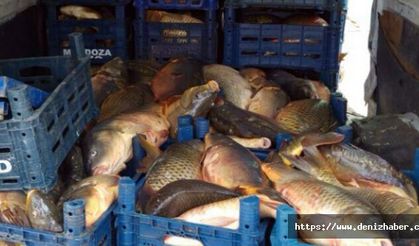 İzinsiz balık avlayanlara 17 bin 855 TL para cezası!