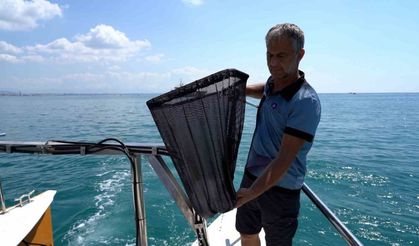 Antalya’da kıyıları, sıkı bir sistemle korunacak