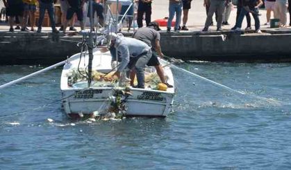 Sinop’ta deniz soğuk yaptı, vatandaşlar balık yakalamak için sahile akın etti