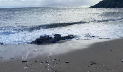 Bodrum’da denizde ve sahilde iki ceset bulundu