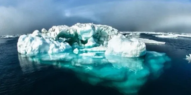 Okyanus Asitleşmesi Kuzey Kutbu'nda Dört Kat Daha Hızlı