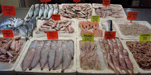 Balık fiyatları yarı yarıya düştü