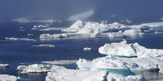 Grönland'da sıcaklık son 1000 yılın en yüksek seviyesine ulaştı