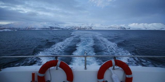 Norveç, deniz tabanında önemli miktarda metal ve mineral kaynağı keşfetti