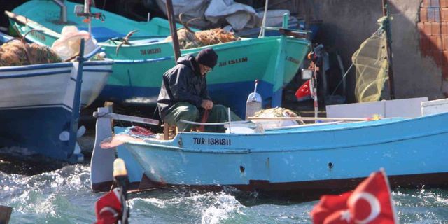 Hamsi sezonu kapattı, vatandaş istavrit ve mezgite yöneldi