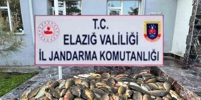 Elazığ’da kaçak balık avı yapan 3 şahsa, 49 bin lira ceza