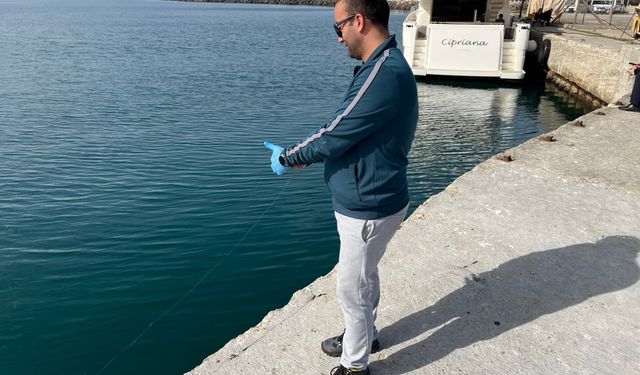 Sinop’ta olta balıkçılığında hayal kırıklığı