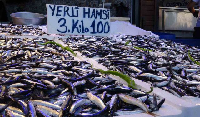 Trabzon’da yerli hamsinin 3 kilosu 100 liradan satılıyor