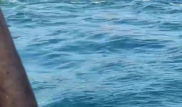 Üsküdar’da vapurdan denize düşen yolcunun kurtarılma anı kamerada