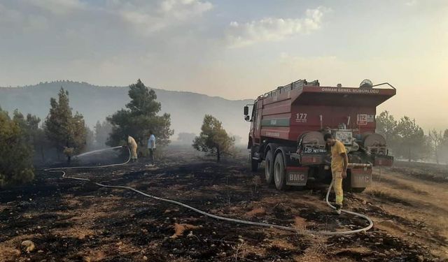 Denizli’de orman yangınına müdahale ediliyor