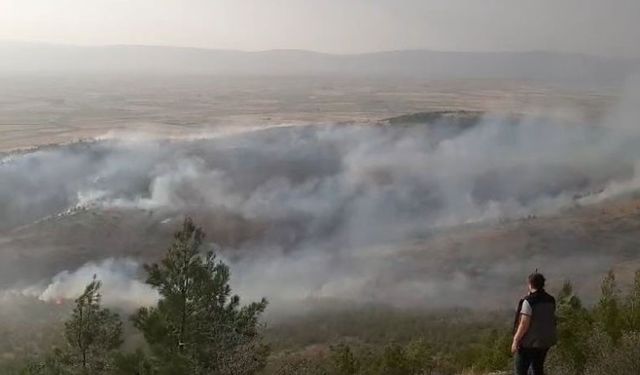 Denizli’deki orman yangını kontrol altına alındı