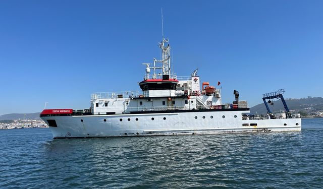 İzmit Körfezi’nde deniz ekosistemi hayat buluyor