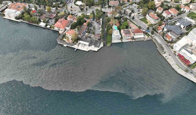 İstanbul Boğazı’na lağım suyu akıyor