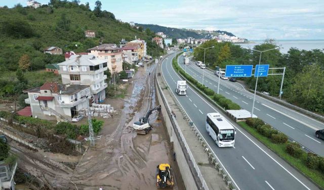 Prof. Dr. Hakan Ersoy: "Derelerin sularını doğru projelerle denizle buluşturmalıyız"