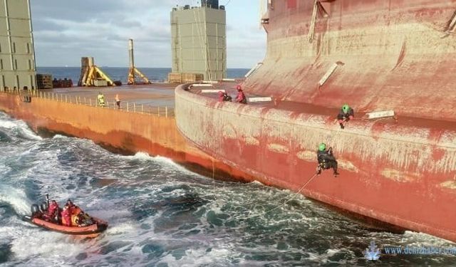 Greenpeace ve Shell, Milyonlarca Dolarlık Davada Anlaştı