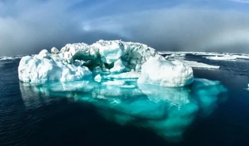 Okyanus Asitleşmesi Kuzey Kutbu'nda Dört Kat Daha Hızlı