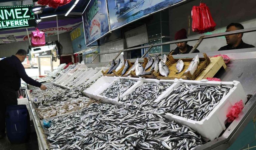 Tezgahlar Karadeniz hamisi ile doldu satışlar arttı
