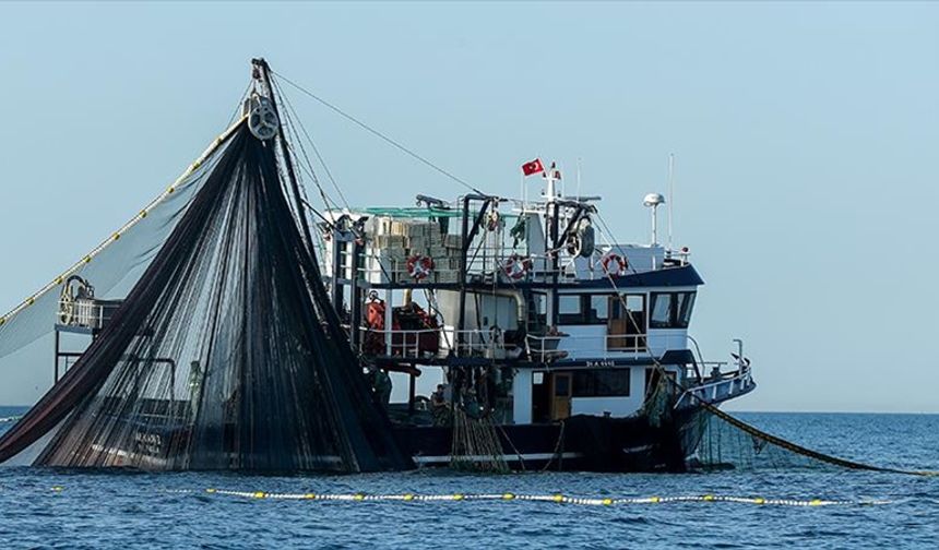 "BlackSea4Fish" projesi Karadeniz'de sürdürülebilir balıkçılığa rehber oluyor
