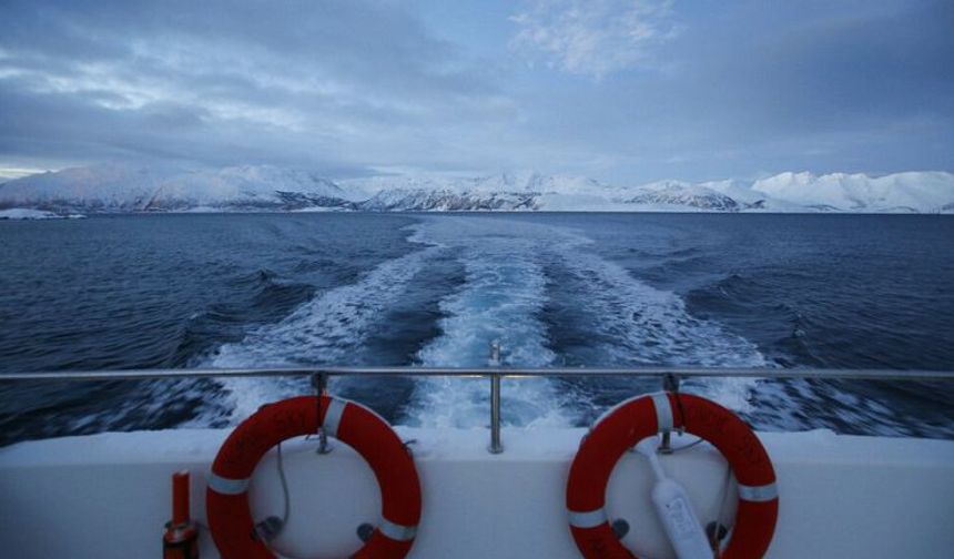 Norveç, deniz tabanında önemli miktarda metal ve mineral kaynağı keşfetti