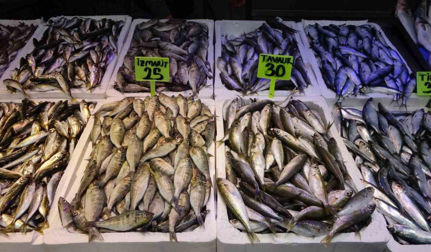 Trabzon Balıkhali’nin en ucuz balıkları İzmirli İzmarit ve Kupes