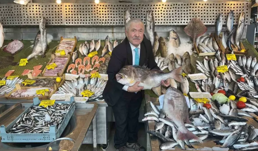 İstanbul’da balıkçılar 20 kiloluk Mercan balığı yakaladı