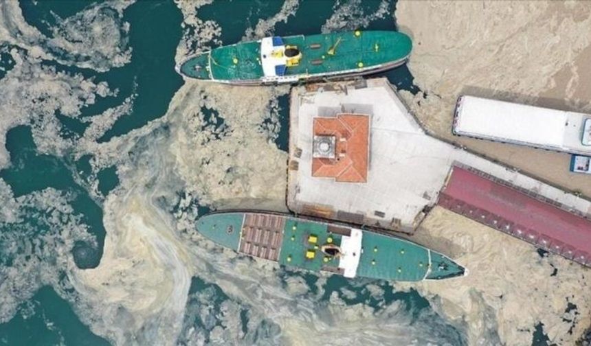 Prof. Dr. Sinan Uyanık: "Deniz taşımacılığı kaynaklı atıklar müsilaj oluşumunu tetikleyebilir"