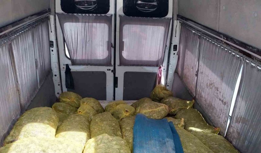 Samsun’da deniz polisi 80 çuval kaçak midye ele geçirdi