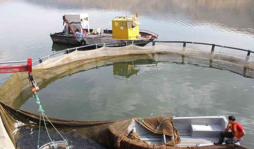 Çat Barajı soğuk suyu ile kafes balıkçılığının vazgeçilmezi