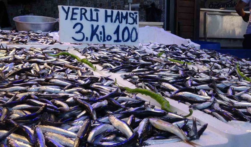Trabzon’da yerli hamsinin 3 kilosu 100 liradan satılıyor
