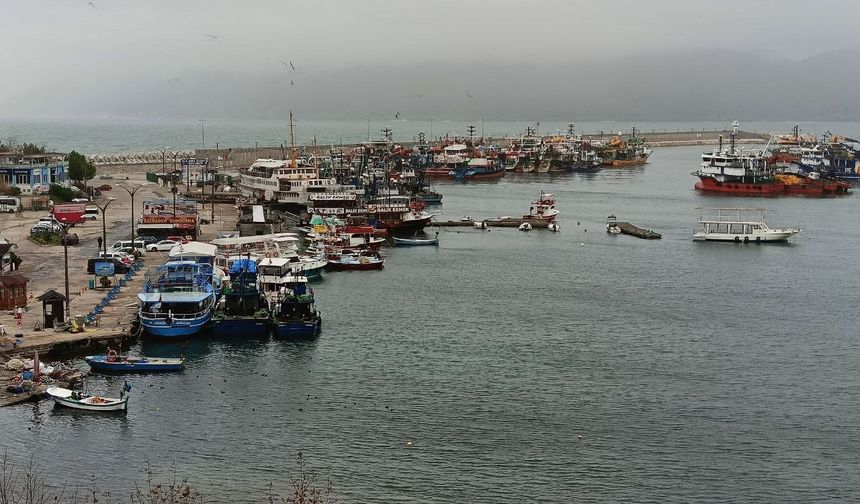 Şiddetli poyraz nedeniyle balıkçı tekneleri Amasra Limanı’na sığındı