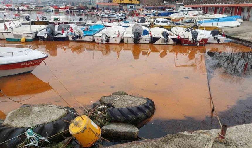 Marmara'da  turuncu renk ve denizanası istilası yayılıyor: 1 haftada 2 kat arttı