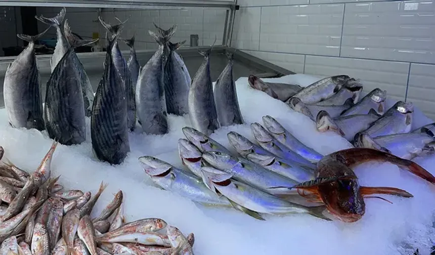Türk balıkçısı Çin pazarına ağ atacak