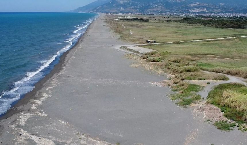 Erol öğretmen deniz kaplumbağaları için nöbette