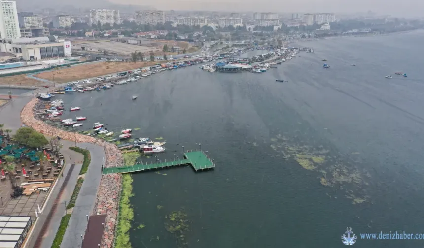 İzmir Körfezi bu kez de yeşile döndü!