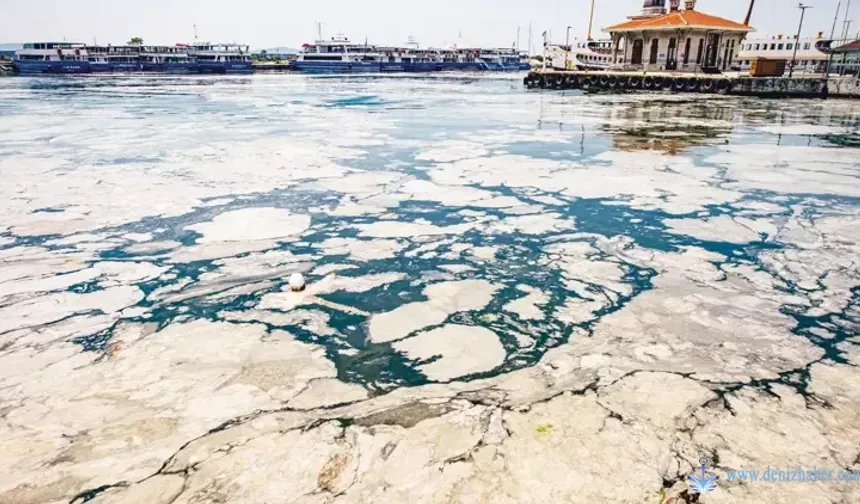 2025, Balıkçılık İçin Bereket ve Endişelerle Başladı