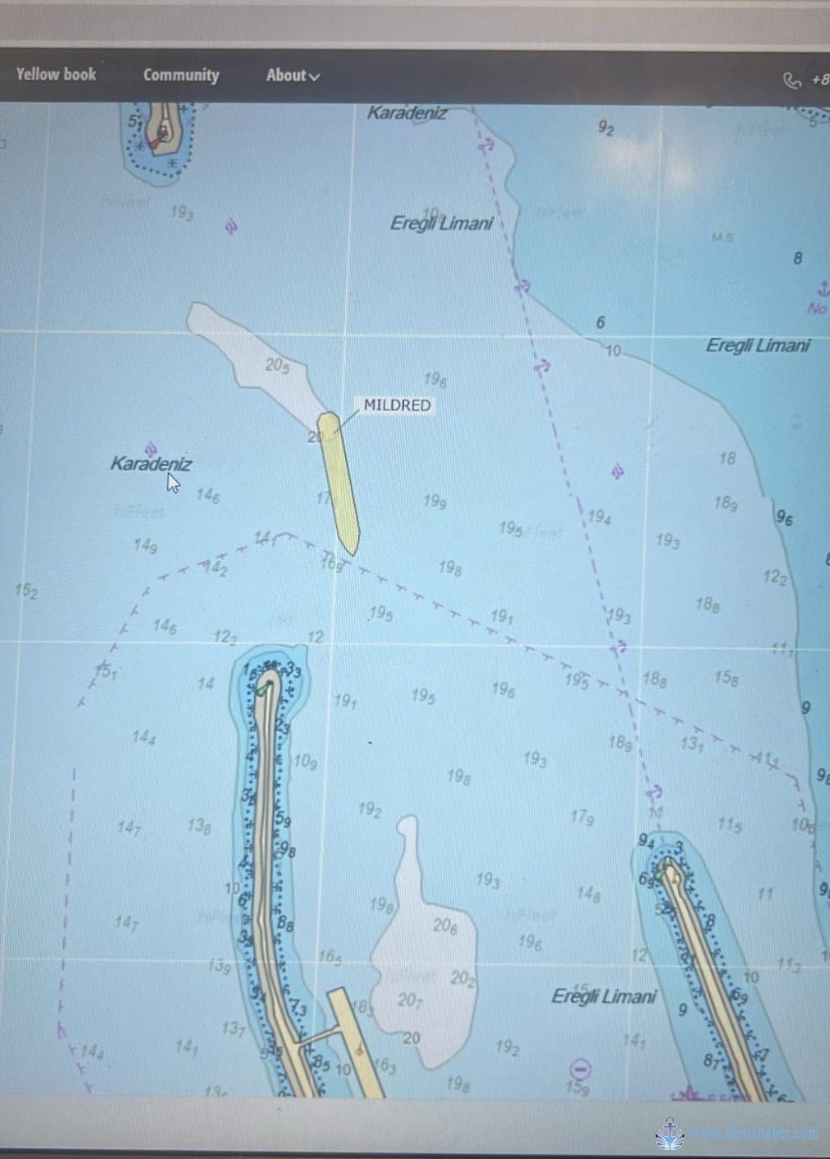 Karaya oturan MV MILDRED gemisi acentesi AD Denizcilik. Uruguaydan gelmiş demir cevheri yüklü. Erdemir yükü 84.533 mt, İtalya yükü 86.252 mt. 