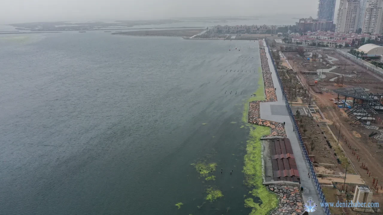 İzmir Körfezi Yeşile Döndü4