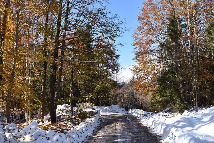 Karagöl Tabiat Parkı'nda Kış Ve Sonbahar Bir Arada Yaşanıyor4